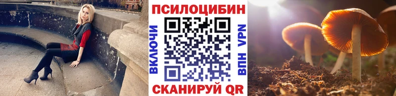Галлюциногенные грибы Psilocybe нарко площадка официальный сайт Сысерть